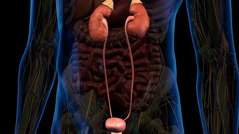 How to prevent and manage contrast-induced nephropathy (CIN)?