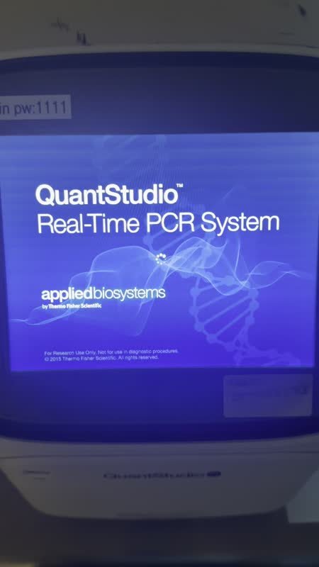 Applied Biosystems QuantStudio 5 Real-Time PCR Instrument (384-Well Block) - Image 6