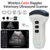 Philips Diagnostic Ultrasound System w/ Probes