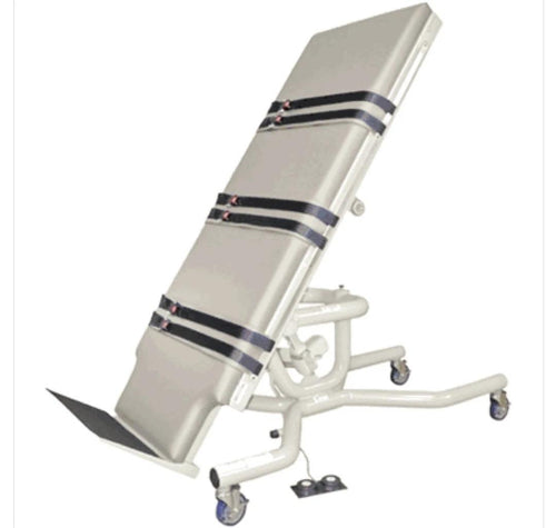 Tri W-G Heavy Duty Electric Tilt Table, GREY COLOR