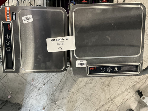 Seca 856 Digital Organ and Diaper Scale